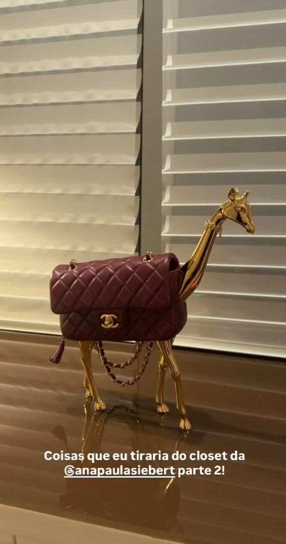 Nova bolsa de Ana Paula Siebert